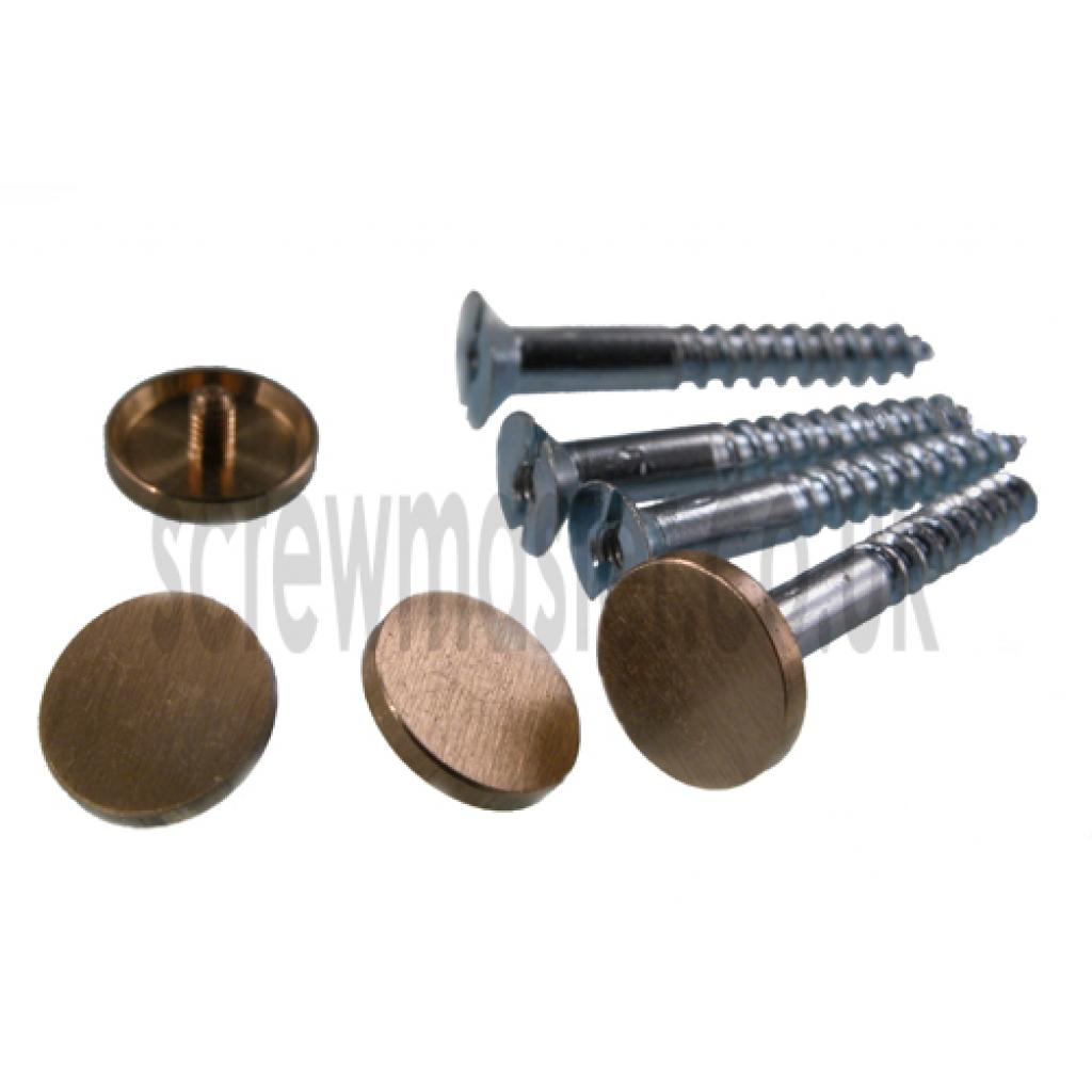 Mirror Screws