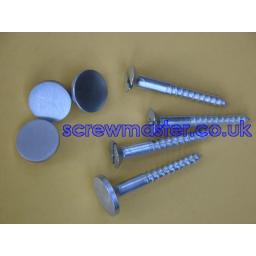 set-of-4-mirror-screws-with-satin-chrome-disc-screw-in-cap-10mm-diameter-brushed-stainless-effect-383-p.jpg
