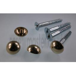 set-of-4-mirror-screws-with-polished-brass-dome-screw-in-cap-16mm-diameter-343-p.jpg
