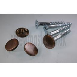set-of-4-mirror-screws-with-bronze-disc-screw-in-cap-12mm-diameter-116-p.jpg