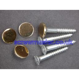 set-of-4-mirror-screws-with-polished-brass-disc-screw-in-cap-10mm-diameter-419-p.jpg
