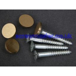 set-of-4-mirror-screws-with-satin-brass-disc-screw-in-cap-10mm-diameter-brushed-finish-425-p.jpg