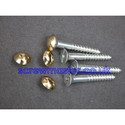 set of 4 Mirror Screws with polished Brass Mushroom Dome screw in Cap 10mm diameter