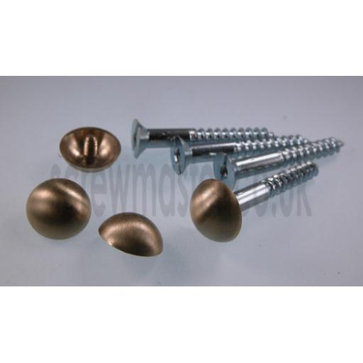 set of 4 Mirror Screws with satin Brass Mushroom Dome screw in Cap 10mm diameter