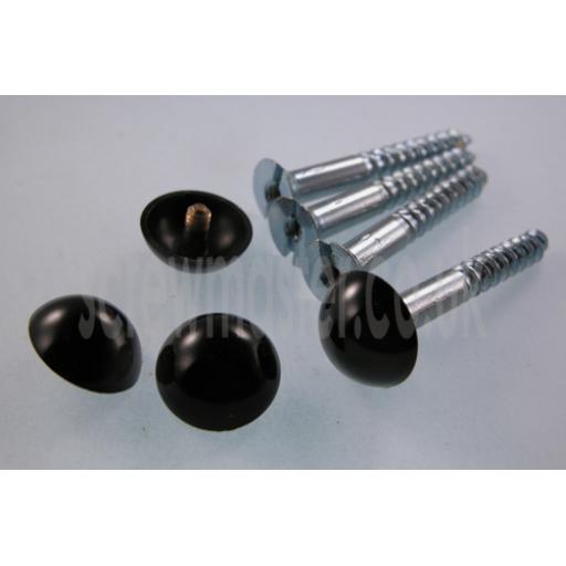 set of 4 Mirror Screws with Black Powder Coated Dome screw in Cap 16mm diameter