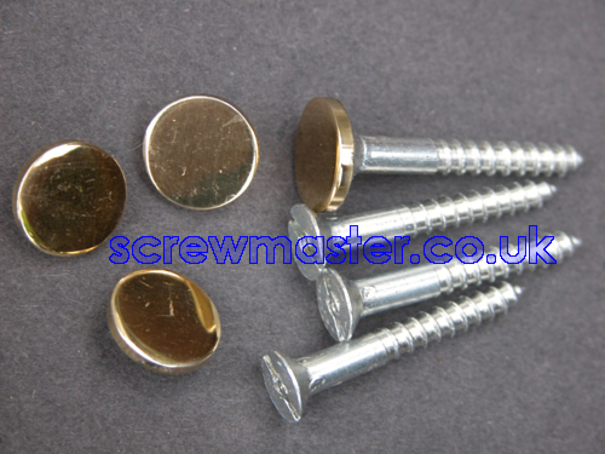 set of 4 Mirror Screws with polished Brass Disc screw in Cap 12mm diameter