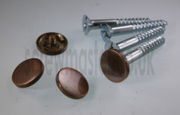 set-of-4-mirror-screws-with-bronze-disc-screw-in-cap-12mm-diameter-116-p.jpg