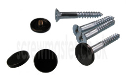 set-of-4-mirror-screws-with-black-powder-coated-disc-screw-in-cap-10mm-diameter-424-p.jpg