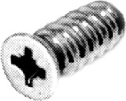 10-euro-system-screws-13.5mm-for-concealed-hinge-mounting-plates-varianta-163-p.jpeg