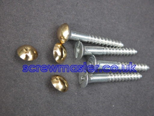 set-of-4-mirror-screws-with-polished-brass-mushroom-dome-screw-in-cap-10mm-diameter-52-p.jpg