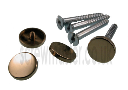 pack-of-4-mirror-screws-with-polished-brass-disc-screw-in-cap-15mm-diameter-328-p.jpg