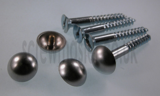 set-of-4-mirror-screws-with-satin-chrome-dome-screw-in-cap-16mm-diameter-346-p.jpg